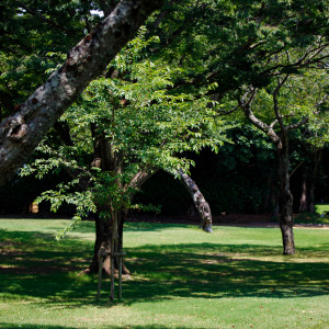 ガーデン写真です|772177さんの日本平ホテルの写真(2544052)