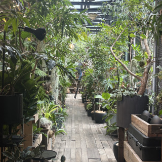 挙式会場　入退場通路