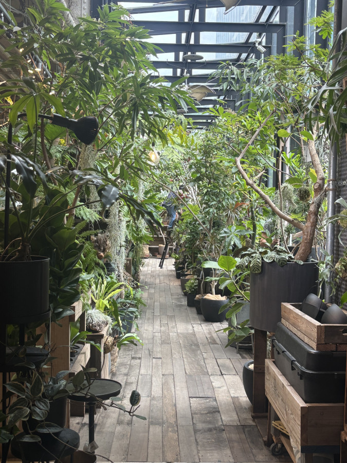 クチコミ導線画像2060573