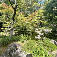 日本庭園、茶室もあります