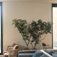 ウェルカムスペース