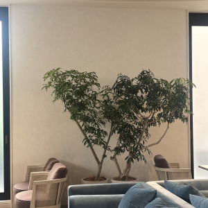 ウェルカムスペース|772388さんのAccord Herbe（アコールハーブ）●BRASSグループの写真(2562920)