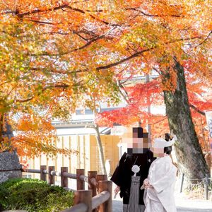 季節の美しさを最大限に活かしたロケーションです。|772624さんの龍城神社の写真(2650286)
