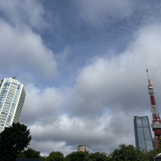 芝公園からの写真
東京タワーと特別な一日をすごせました