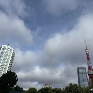 芝公園からの写真
東京タワーと特別な一日をすごせました