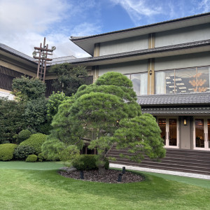 庭に佇む大きな松|772856さんの明治神宮・明治記念館の写真(2546596)