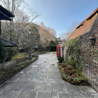 緑がいい雰囲気