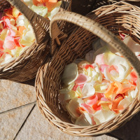 フラワーシャワー用のバラです