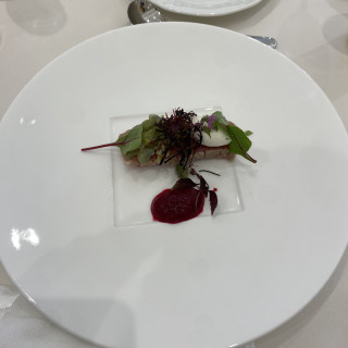 料理写真