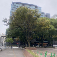 久屋大通公園が目の前にある