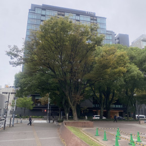 久屋大通公園が目の前にある|773091さんのTIAD, オートグラフ コレクション（ティアド, オートグラフ コレクション）の写真(2562312)