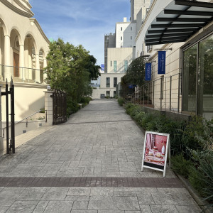 通り|773180さんのアニヴェルセル 表参道の写真(2548463)