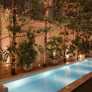 ニーズ新横浜 by T&G WEDDING(旧 アクアテラス迎賓館 新横浜)のクチコミ 庭・ガーデンの写真(1枚目)