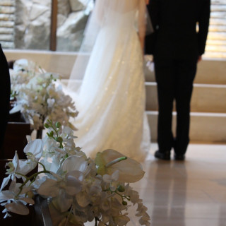 白の花が映える