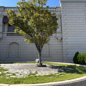 庭|773321さんのマリアージュ下関の写真(2549386)