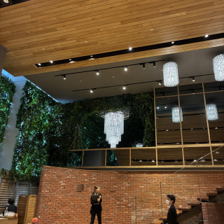 シャンデリアが見える