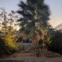 ガーデンの様子