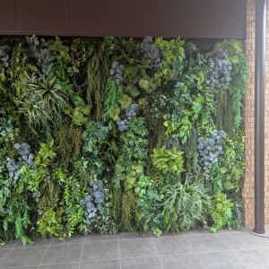 フォトスポット|773497さんのBELLE UN JOUR(ベルアンジュール)の写真(2549994)