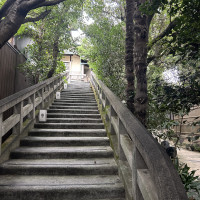 裏口の階段