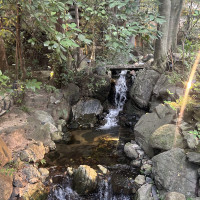 お庭