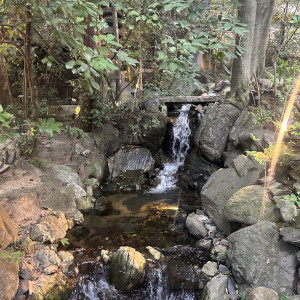 お庭|773514さんのアカガネリゾート京都東山(AKAGANE RESORT KYOTO HIGASHIYAMA)の写真(2550262)