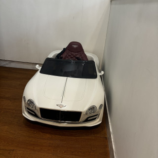 リングキャットやリングドックを乗せられる車です。