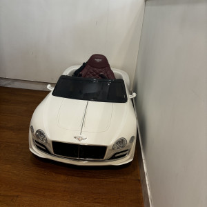 リングキャットやリングドックを乗せられる車です。|773593さんのアネーリ軽井沢の写真(2550408)