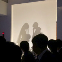 シルエットでベールダウンを行うことができます。