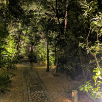 夜も綺麗です。