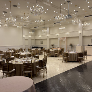 白いので飾りがいある