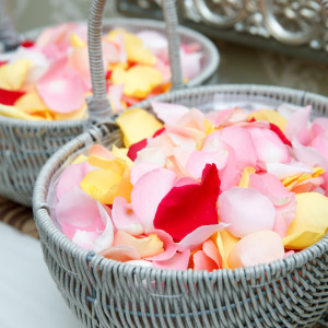 フラワーシャワー|773712さんの百花籠(ひゃっかろう)- Neo Japanesque Wedding -の写真(2550674)