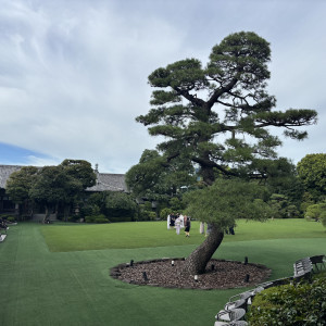 庭園|773742さんの明治神宮・明治記念館の写真(2550824)