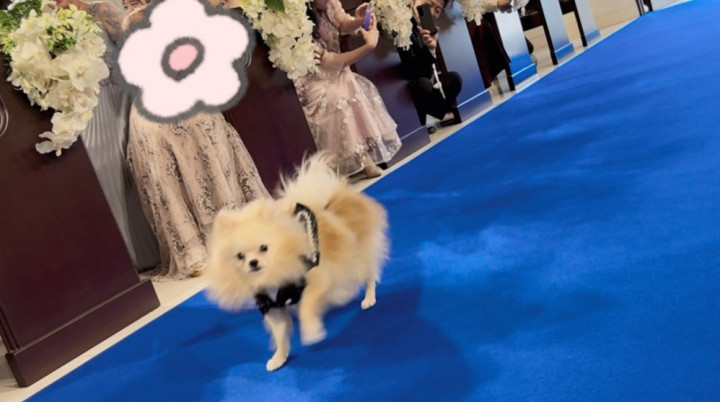 クチコミ導線画像2080278