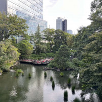 ここで参進できるなんて、夢のようですよね。