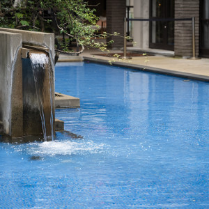 庭の雰囲気です|773901さんのWITH THE STYLE FUKUOKA（ウィズ ザ スタイル フクオカ）の写真(2551717)