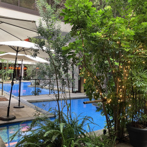 庭の雰囲気です|773901さんのWITH THE STYLE FUKUOKA（ウィズ ザ スタイル フクオカ）の写真(2551714)