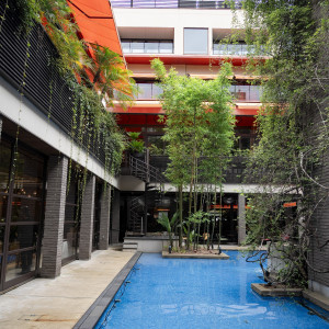 庭の雰囲気です|773901さんのWITH THE STYLE FUKUOKA（ウィズ ザ スタイル フクオカ）の写真(2551716)