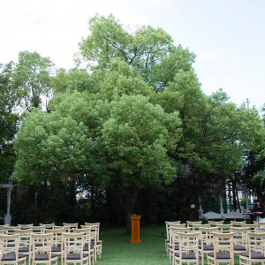 挙式会場|773902さんの華王殿 KAODENの写真(2551408)