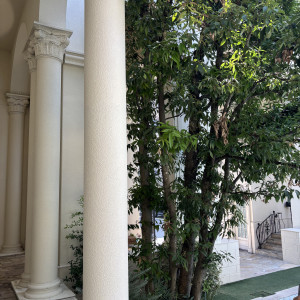 ガーデン|773918さんのアーフェリーク迎賓館（熊本）/テイクアンドギヴ・ニーズウェディングの写真(2551444)