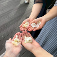フラワーシャワーのお花