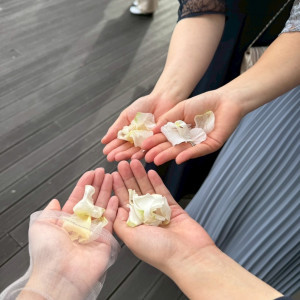 フラワーシャワーのお花|773934さんのベイサイド迎賓館(松山)/テイクアンドギヴ・ニーズウェディングの写真(2554109)