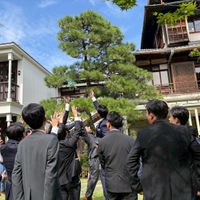 新郎、ブロッコリートス