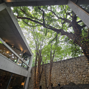 中庭|774055さんのザ・ヒルサイド神戸の写真(2552038)