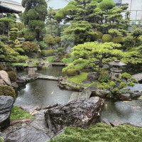 庭園がとても綺麗です