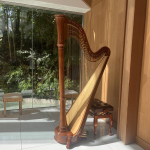 挙式では生演奏があります|774232さんのアーセンティア迎賓館(高崎)/テイクアンドギヴ・ニーズウェディングの写真(2555120)