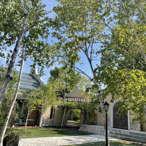 白樺がとても綺麗なガーデンです。|774313さんのプライベートガーデンWedding La partir（ラ パルティール）の写真(2553533)