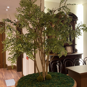 ウェルカムスペースは自由に小物を持ちこめます!|774339さんのザ・ジョージアンテラスの写真(2553695)