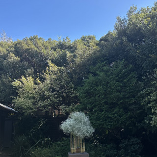 挙式を行った庭