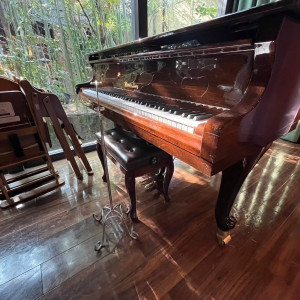 メインダイニングには、
グランドピアノがありました。|774505さんのアルタビスタガーデンの写真(2554872)