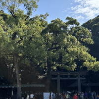 明治神宮